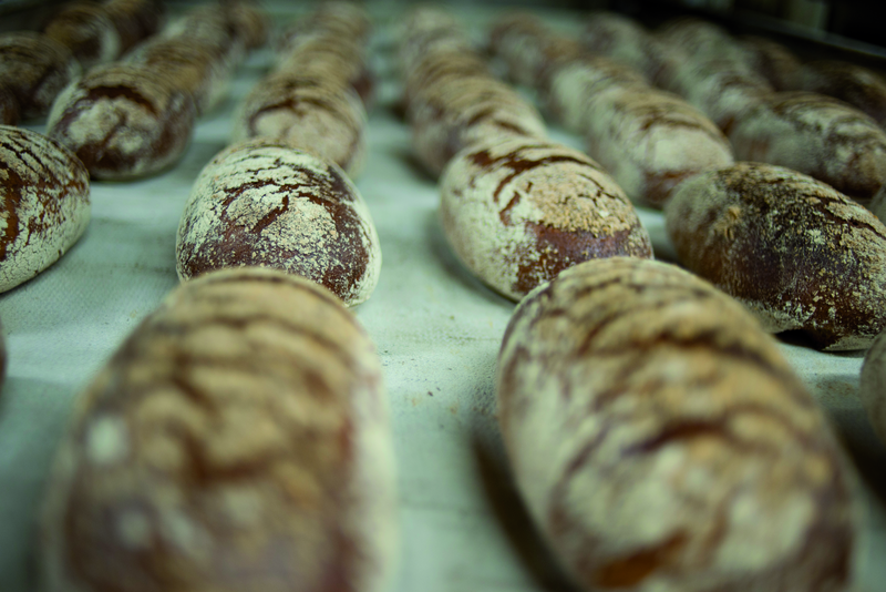 Frisch gebackene Brote