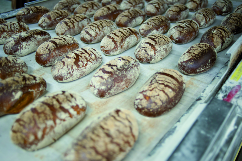 Frisch gebackene Brote auf Blech