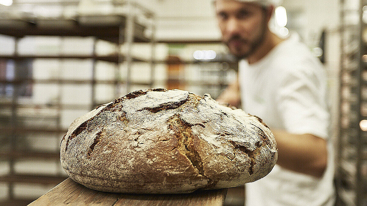 Brot wird in den Ofen geschoben