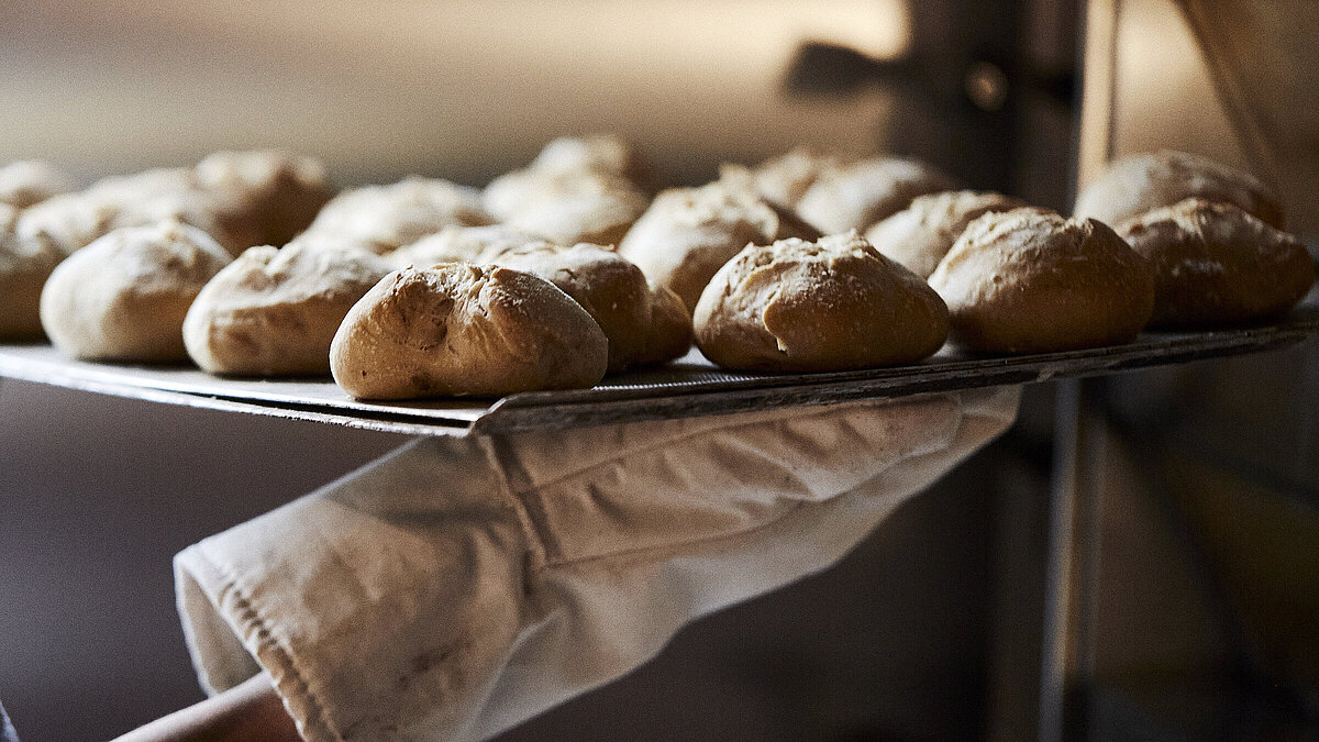 Ein Backblech mit frischen Brötchen wird aus dem Ofen geholt