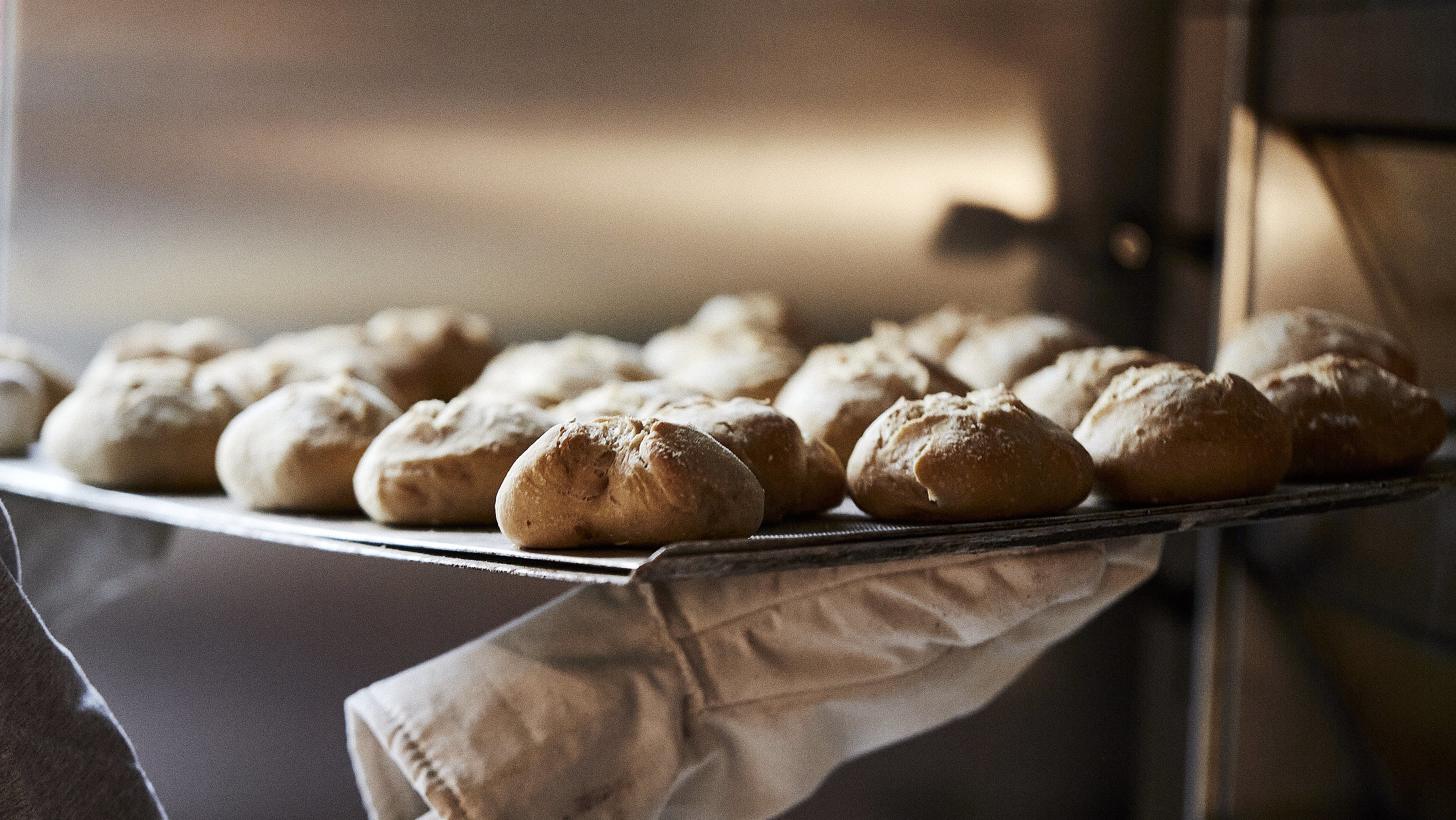 Ein Backblech mit frischen Brötchen wird aus dem Ofen geholt