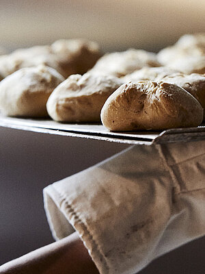 Ein Backblech mit frischen Brötchen wird aus dem Ofen geholt