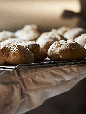 Ein Backblech mit frischen Brötchen wird aus dem Ofen geholt