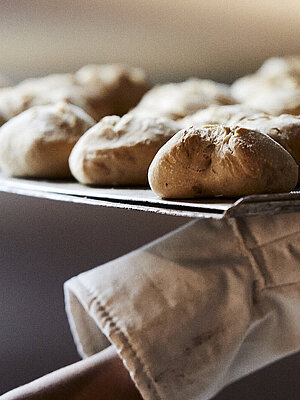 Ein Backblech mit frischen Brötchen wird aus dem Ofen geholt