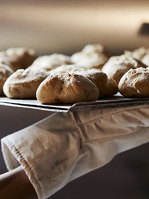 Ein Backblech mit frischen Brötchen wird aus dem Ofen geholt