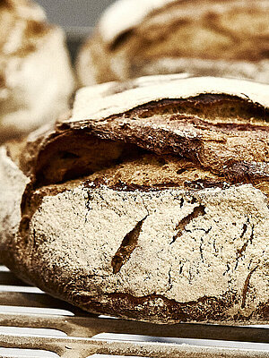 Drei Brote auf einem Backblech, das vermutlich in einen Ofen geschoben wird.