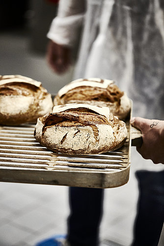 Drei Brote auf einem Backblech, das vermutlich in einen Ofen geschoben wird.