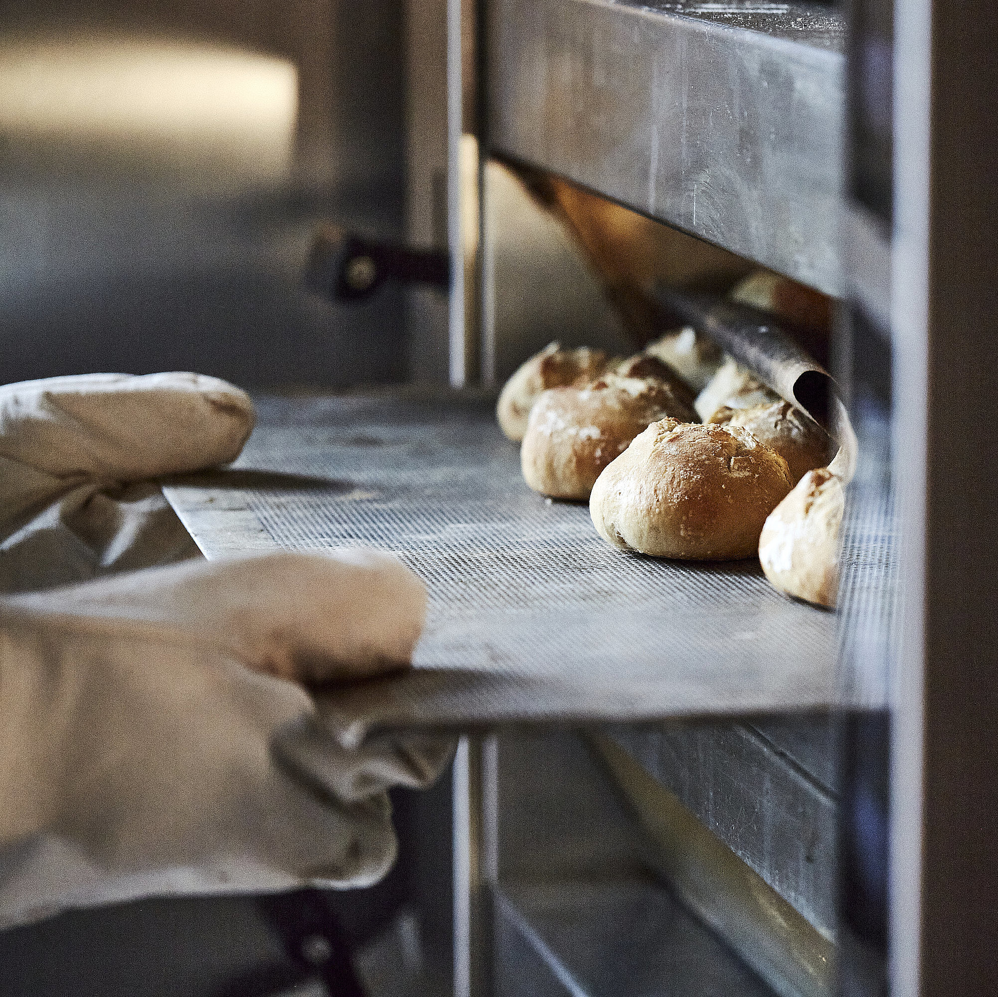Bäcker mit großen Handschuhen schiebt ein Backblech mit Brötchen in den Ofen.